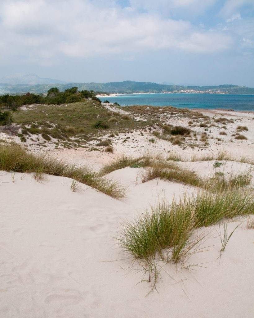 Dünen von Capo Comino Siniscola